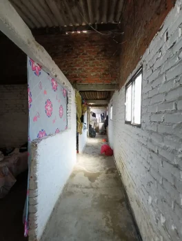 Casa35.3