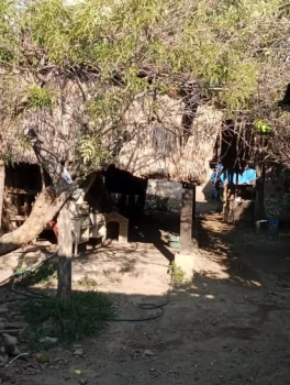 Casa37.1