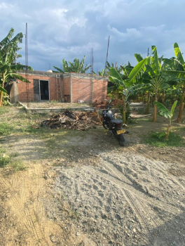 Casa39.2