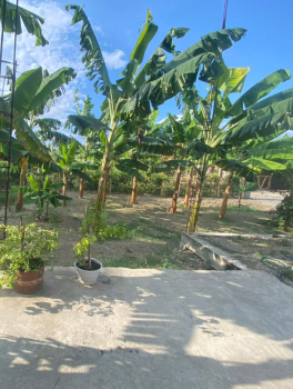 Casa39.3