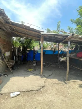 Casa43.1