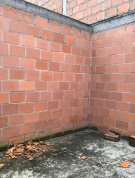 Casa45.4