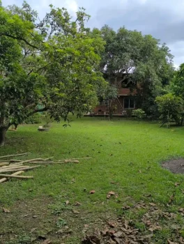 Finca50.1