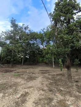 Finca54.2