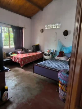 Finca54.4