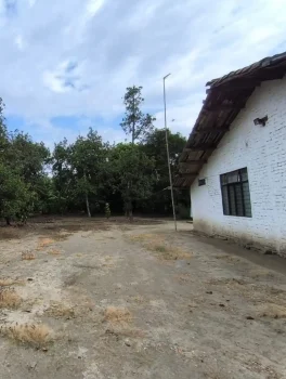 Finca54.5