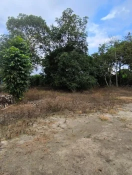 Finca54.6
