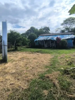 Finca55.4