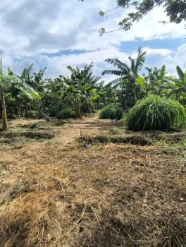 Finca55.6