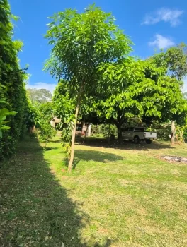 Finca57.2