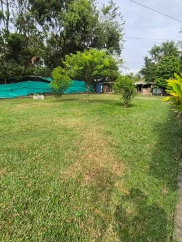 Finca60.2