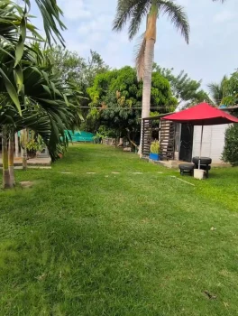 Finca60.4