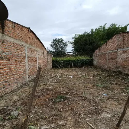 Lote13
