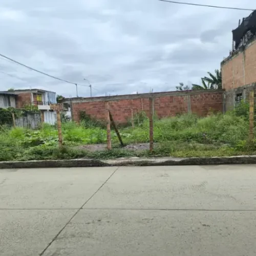 Lote25