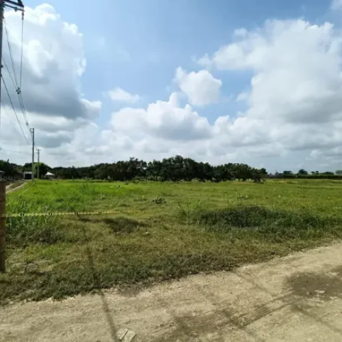Lote26