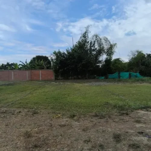 Lote31