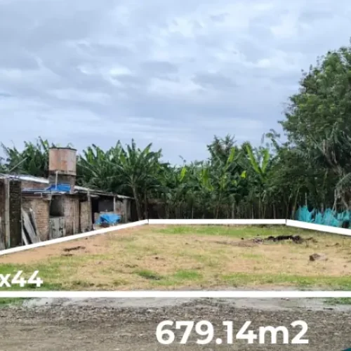 Lote6