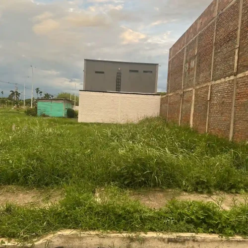lote0001