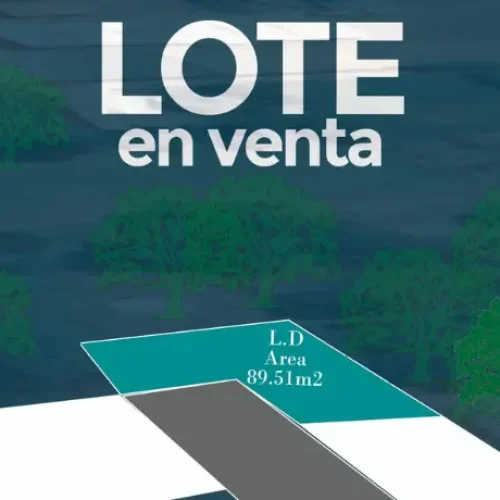 lote7